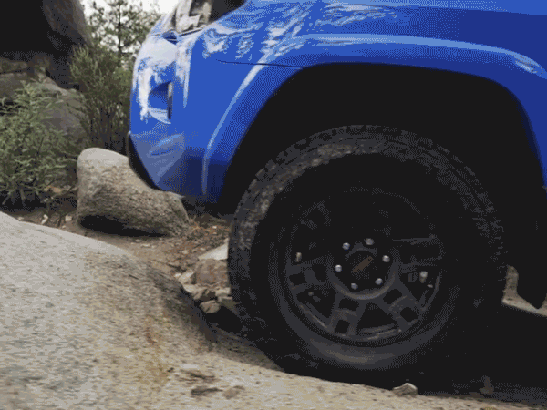 Nitto_1.gif