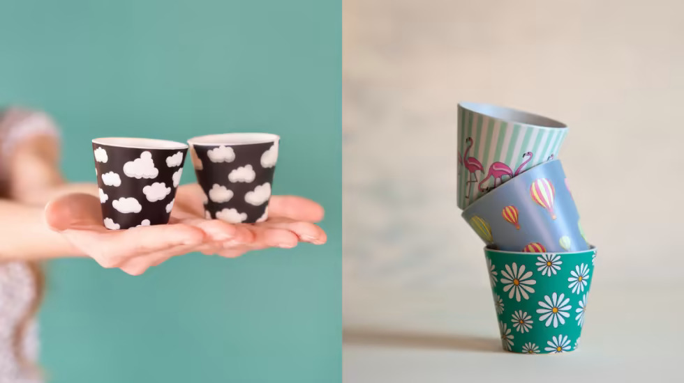 Eco-Friendly Cups with a Dash of Marketing Genius: How QuyCup Boosted E-Commerce Sales with Mailchimp