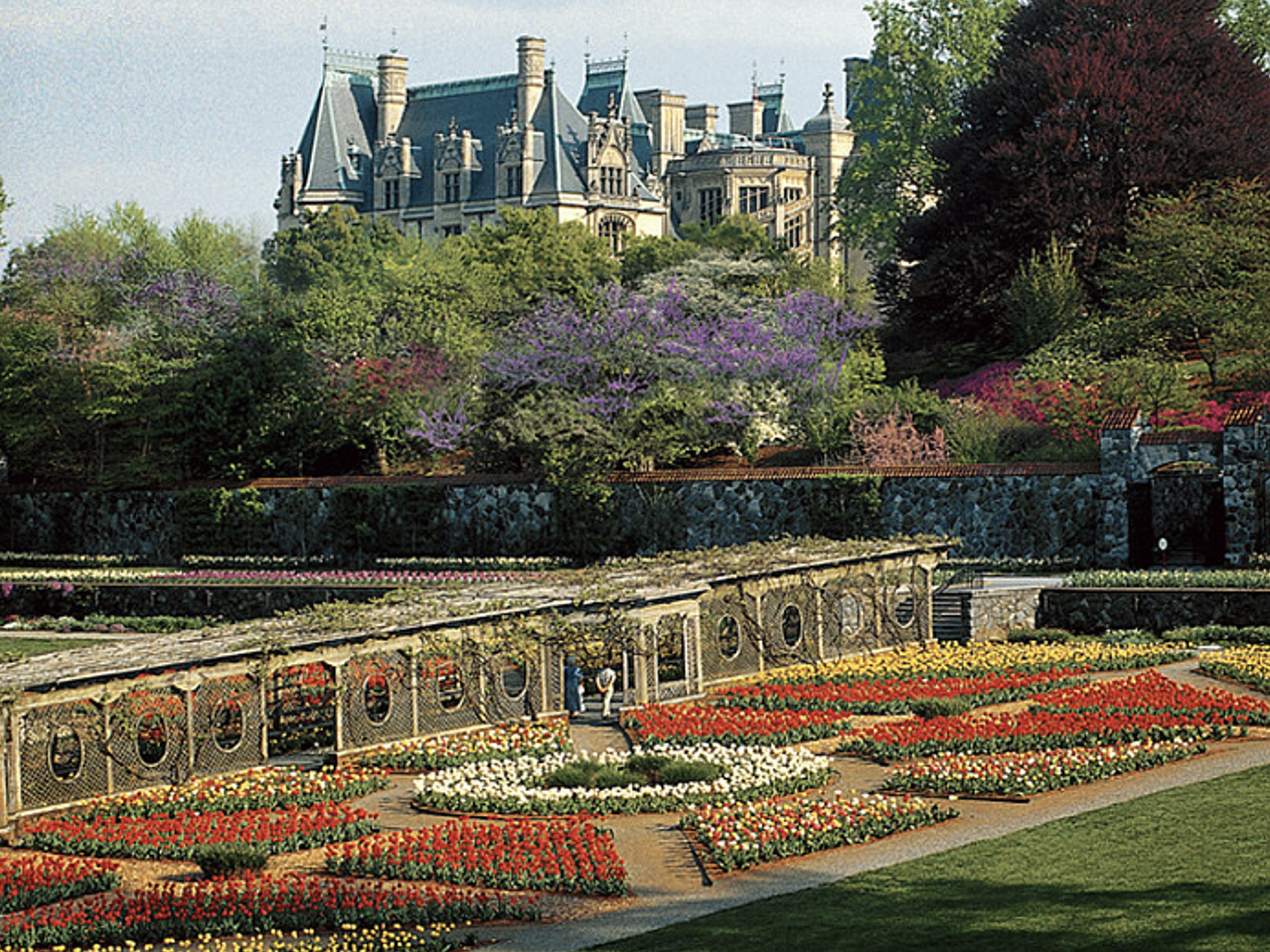 Biltmore creative content