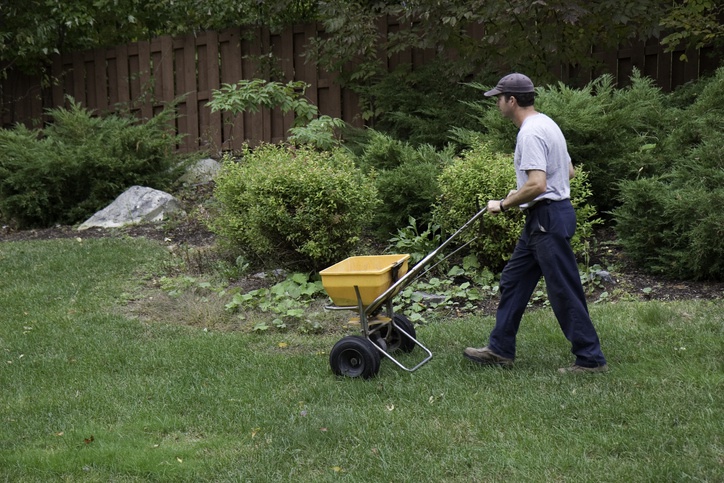 What To Know About Over Fertilizing And The Cape S Nitrogen Pollution Problem What To Know About Over Fertilizing And The Cape S Nitrogen Pollution Problem